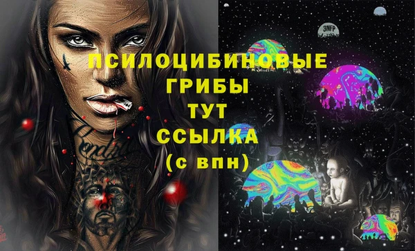 PSILOCYBIN Алексеевка