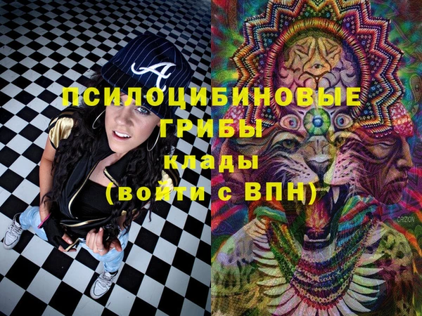PSILOCYBIN Алексеевка
