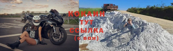 дживик Алексин